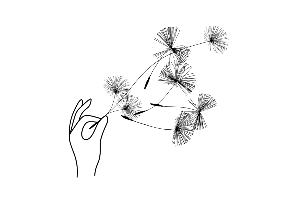 dandelion, seeds, human rights-7659751.jpg